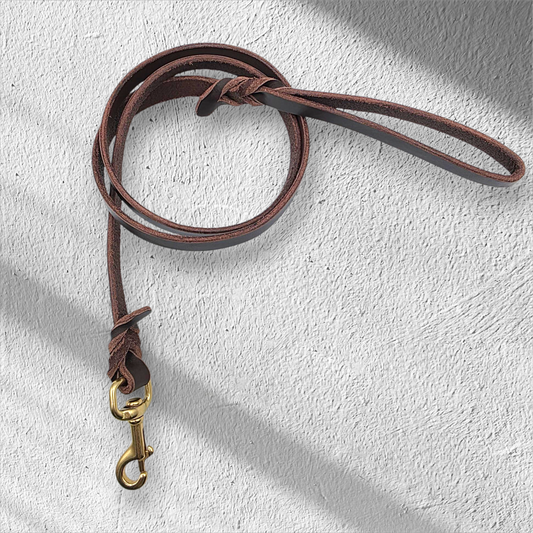 Minimalist Robust Saddle Leather Dog Leash